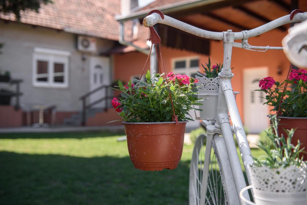 Dumalux * Subotica